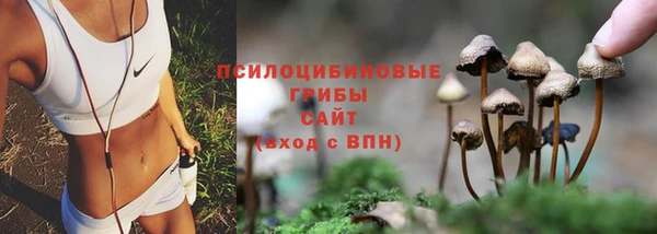 ALPHA-PVP Бугульма